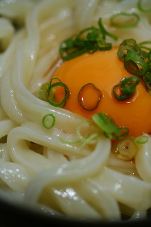 さぬきのうどん家はた坊