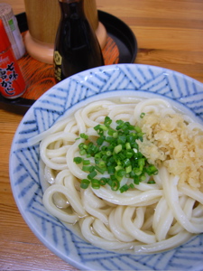 さか枝:かけうどん