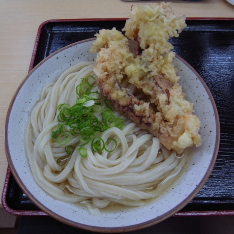 手打 宮武うどん